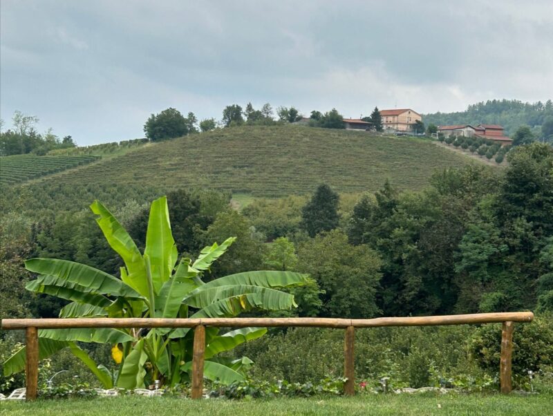 Landscape image placeholder